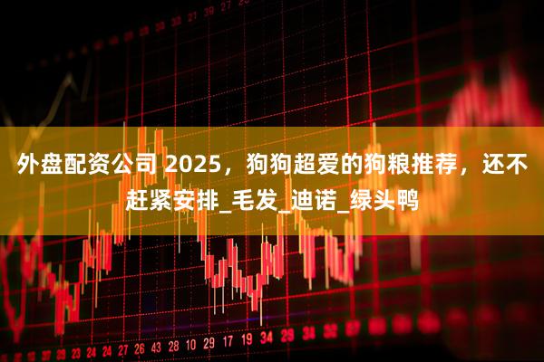 外盘配资公司 2025，狗狗超爱的狗粮推荐，还不赶紧安排_毛发_迪诺_绿头鸭