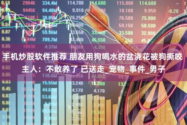 手机炒股软件推荐 朋友用狗喝水的盆浇花被狗撕咬 主人：不敢养了 已送走_宠物_事件_男子
