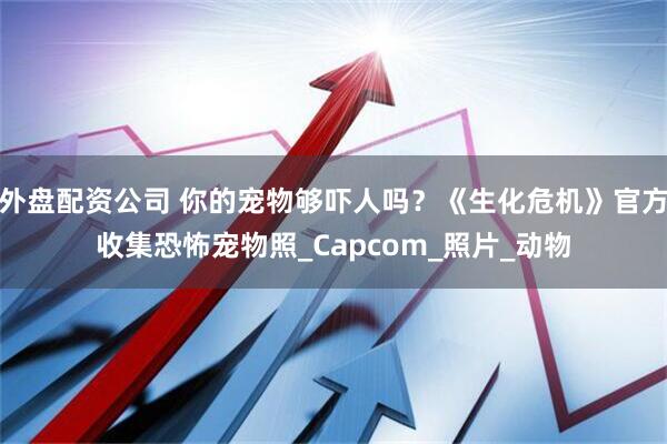 外盘配资公司 你的宠物够吓人吗？《生化危机》官方收集恐怖宠物照_Capcom_照片_动物