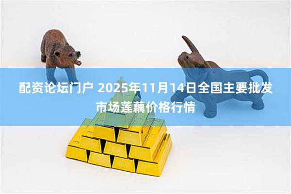 配资论坛门户 2025年11月14日全国主要批发市场莲藕价格行情