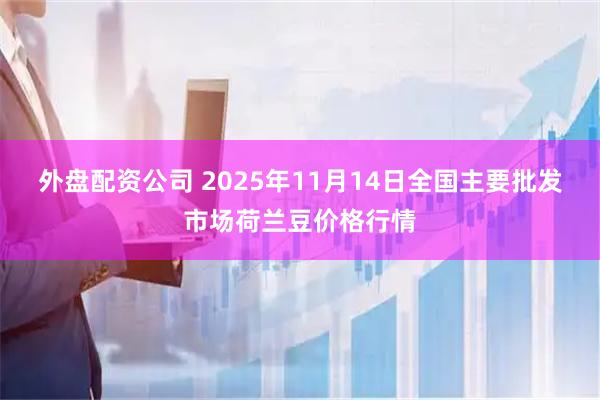 外盘配资公司 2025年11月14日全国主要批发市场荷兰豆价格行情